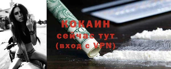 шишки Абинск
