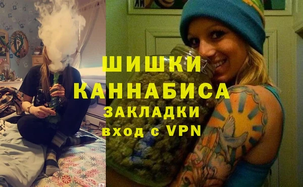 шишки Абинск