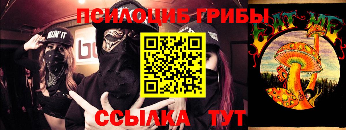 Псилоцибиновые грибы Cubensis Стерлитамак