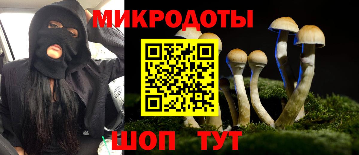 Псилоцибиновые грибы Psilocybe  Вход с VPN  Стерлитамак 